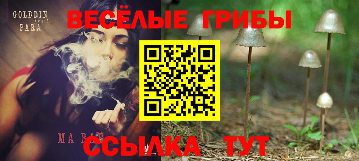 Ногинск  где купить наркотик  Вход с VPN  Псилоцибиновые грибы GOLDEN TEACHER  Псилоцибиновые грибы мухоморы 